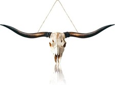 Longhorn Skull Wall Decor