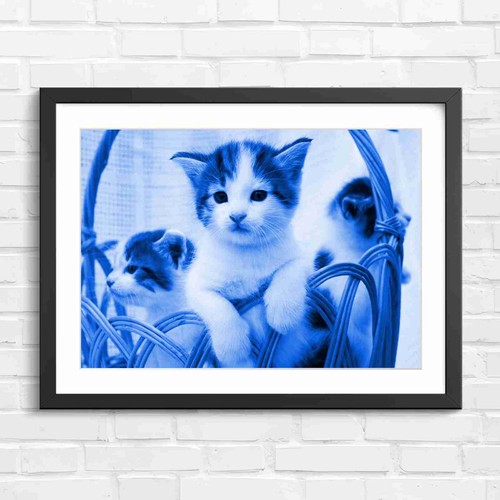 Adorable kittens wicker - in,