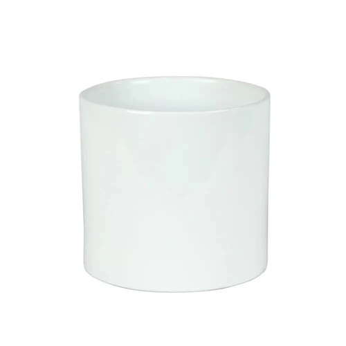Ceramic indoor plant - indoor, pot