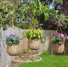 Smart Garden Basket Bouquet