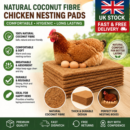 Pack chicken nest - pack,