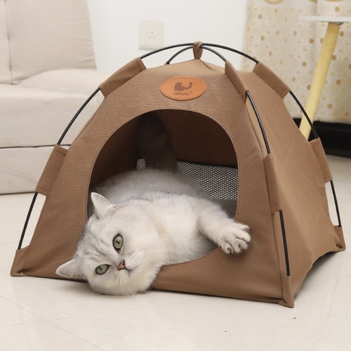 Pet tent cat puppy - tent, play