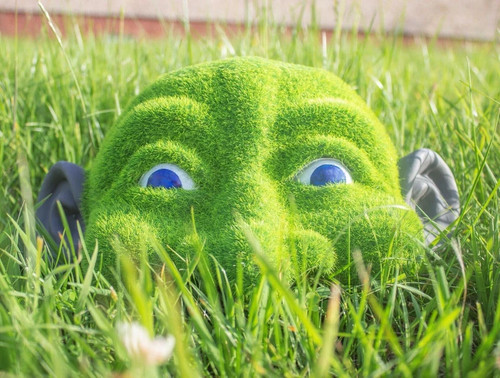 Large garden hedge - large,