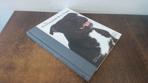 Staffordshire bull terrier - bull,