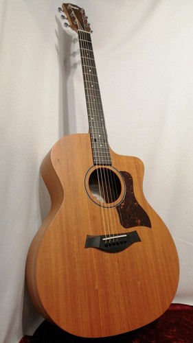 Taylor 24ce acoustic guitar - 24ce,