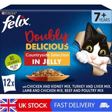 Doubly Delicious Senior Cat