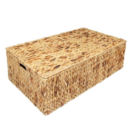 Water hyacinth under bed - water,