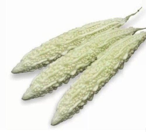 Finest bitter gourd - finest,