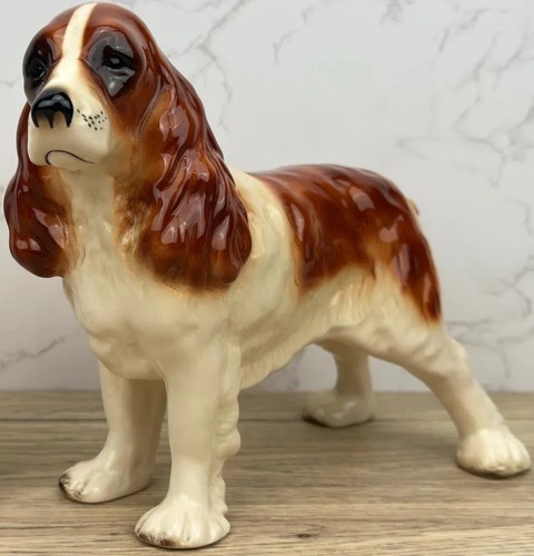 Springer spaniel dog - spaniel, by