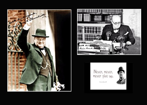 Size signed winston - signed,