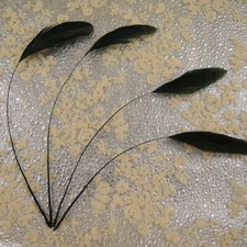 20cm-25cm Coloured Feathers