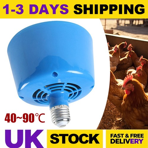 Pet heat light - pet, fan
