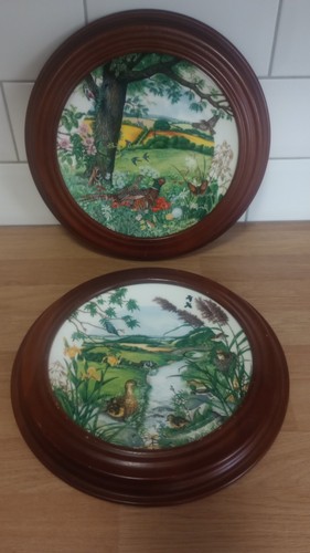 Two decorative wedgwood plates - two,