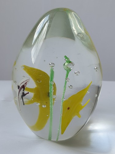 Paperweight bubble colourful - paperweight,