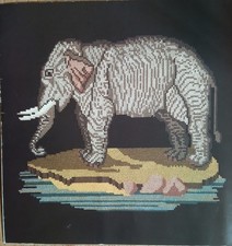 Elizabeth Bradley 16 x 16