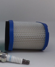 Hayter Harrier Mower Tune up