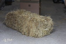 Hay Bale for Horses - Approx