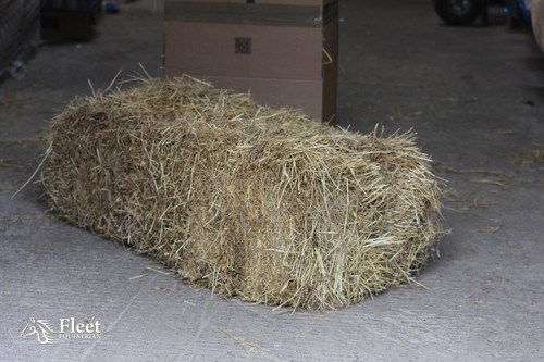 Hay bale for - hay,