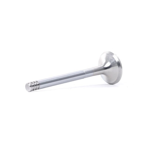 Exhaust valve for - exhaust,