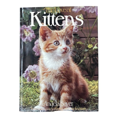 The love kittens angela - love, of