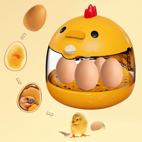 Eggs mini incubator digital - eggs,