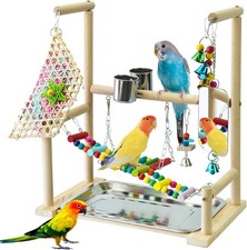 Parrot stand with mirror - with,
