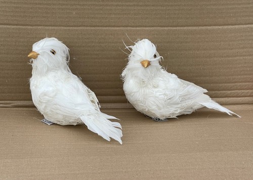 Large 20cm white real - large, feathers