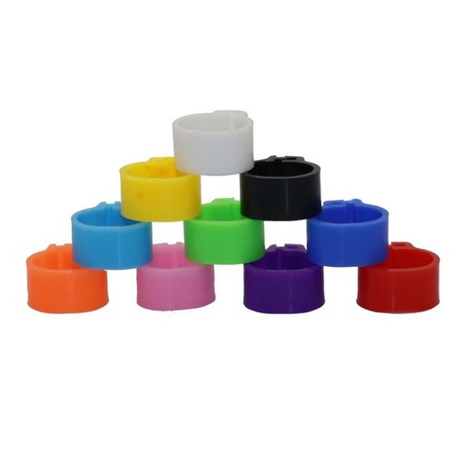 Igeon leg rings - leg,