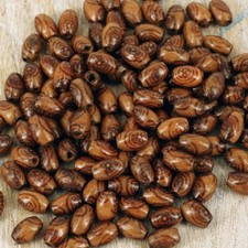 Beads, Brown Pattern, Wooden Seed infill bead, Craft,  9 mm x  6 mm, 120 pcs, W7