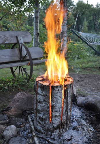 Swedish natural fire logs - swedish,