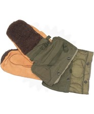 Arctic Extreme Cold Weather