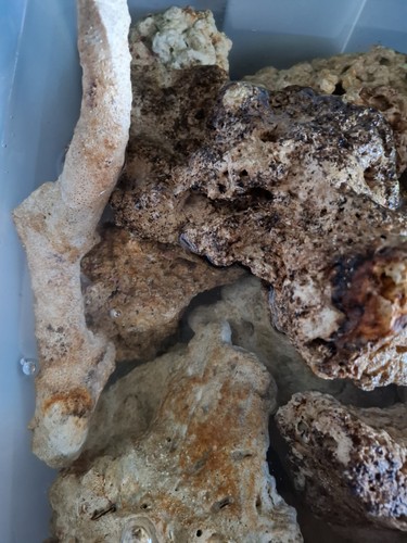 Porous aquarium live - live, rock