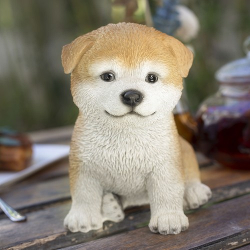 Soreal brown akita - soreal, |