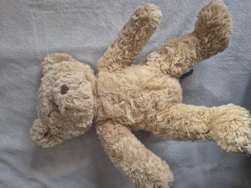 Bear factory soft toy - bear,
