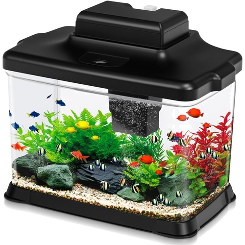 Small gallon transparent - 1.6,