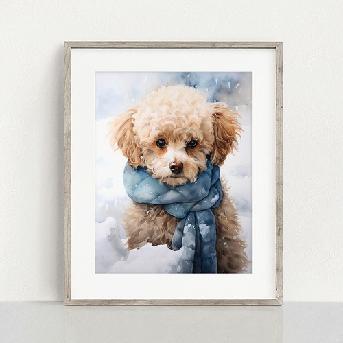 Poodle winter scarf - winter,