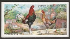 OGDENS-POULTRY 1915 (1ST SERIES 1-25 WITH OGDENS ON FRONT)-#07- OLD ENGLISH GAME