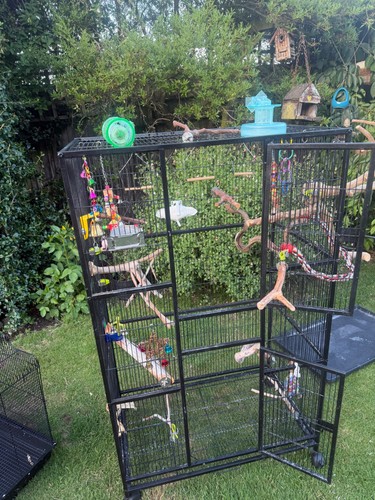 Large budgie bird cage - budgie/bird,