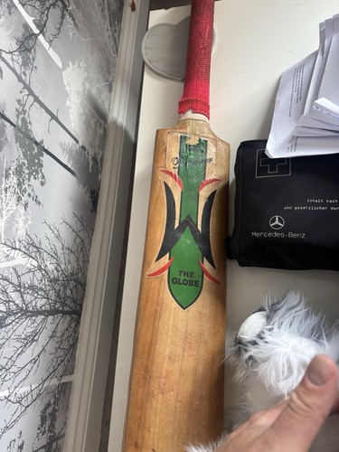 Woodworm globe cricket bat - globe,