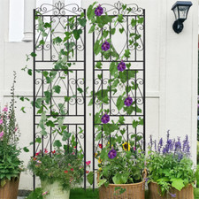 2 Tall Metal Garden Trellis