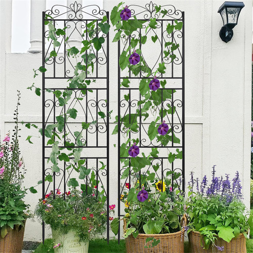 Tall metal garden - tall, trellis