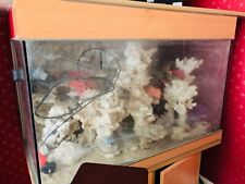 large aquarium fish tank