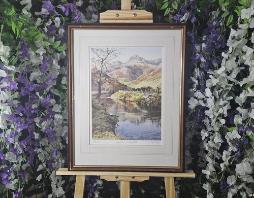 Judy boyes signed limited - judy,