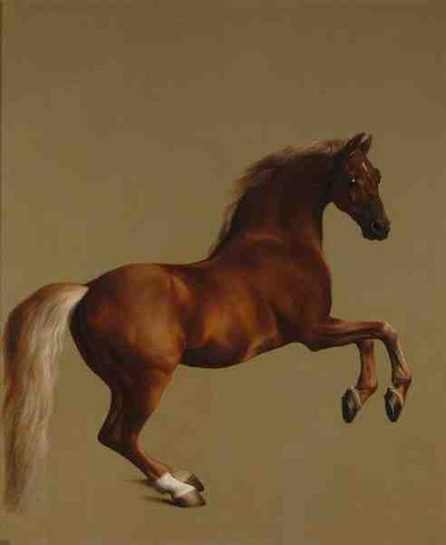 George stubbs whistlejacket - whistlejacket, a4