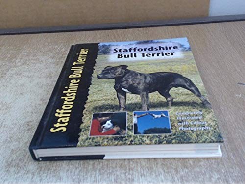 Staffordshire bull terrier - staffordshire,