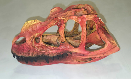 Dinosaur skull replica - dinosaur,