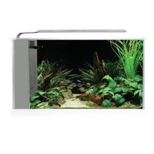 Fluval Spec Aquarium Fish Nano Tank 19L | 52 x 29.5 x 19cm | White