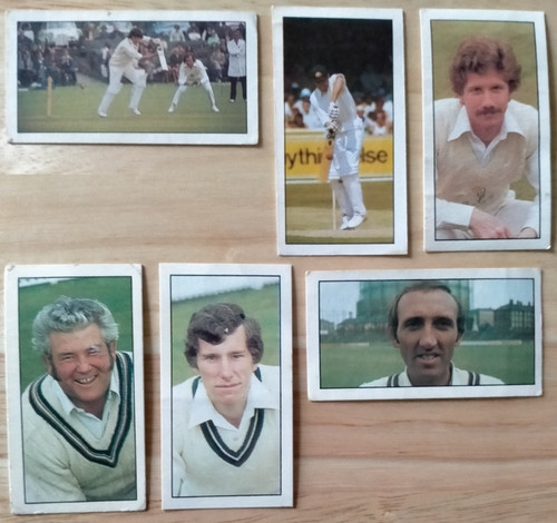 Bassett ltd cricket 1st - &,
