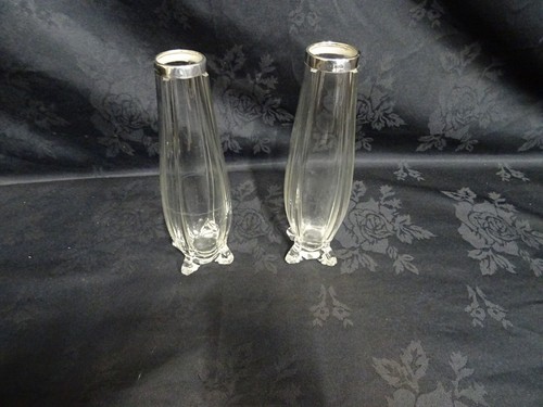 Pair silver rimmed clear - pair,