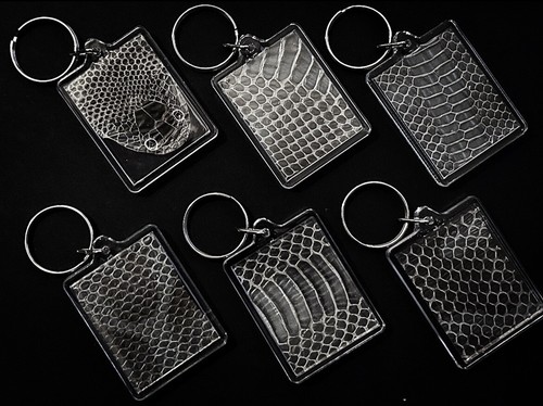 Real snake skin keyrings - x1,